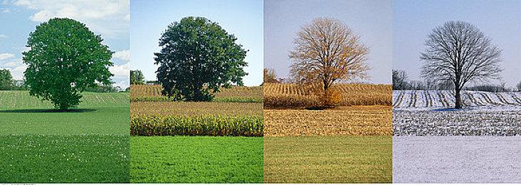 《如龙》桐生一马将加入《超级猴子球：香蕉狂欢》