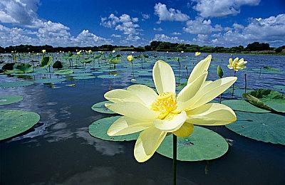 《彩虹六号：围攻》年8第4季“冰封行动”新干员即将推出